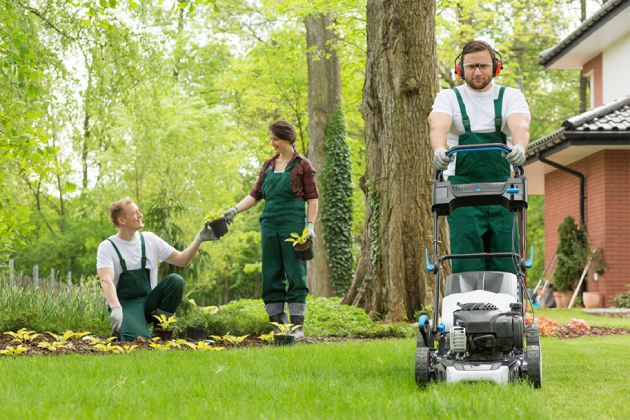 Get Website For Your Lawn Care Business