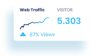 Web Traffic