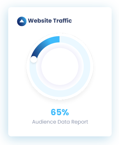 Seo Website Traffic