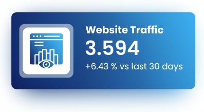 Local Seo Webiste Traffic