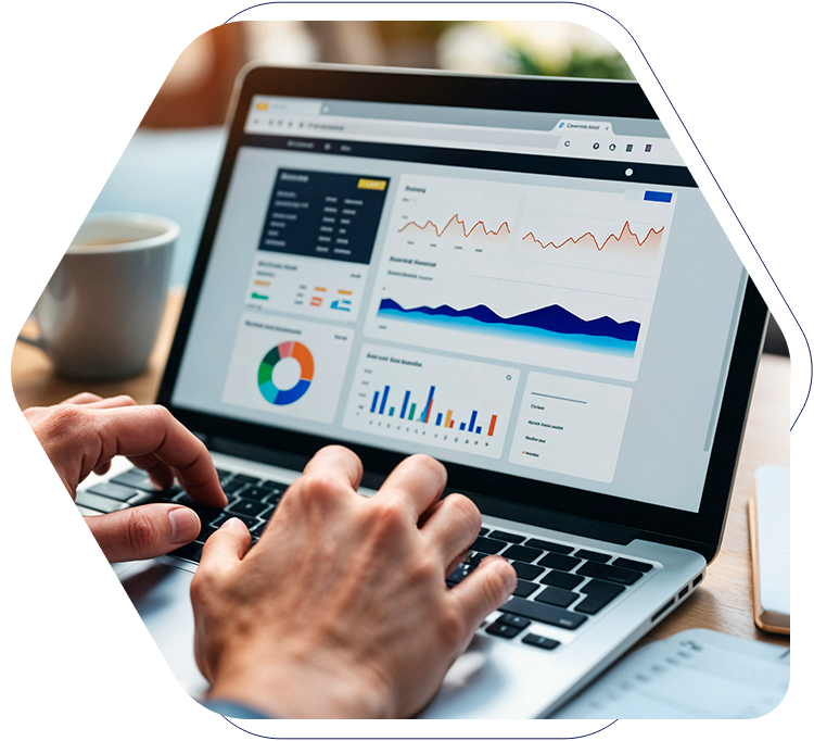 SEO Online Traffic?