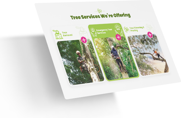 Website Design for Arbor Service