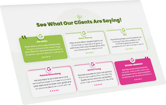 Website Design for Arbor Review